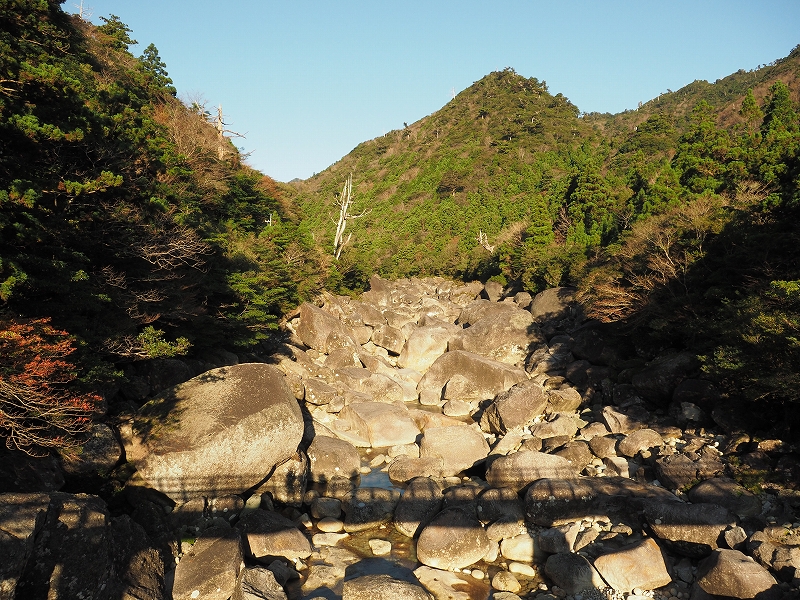 yakushima_trekking24.jpeg