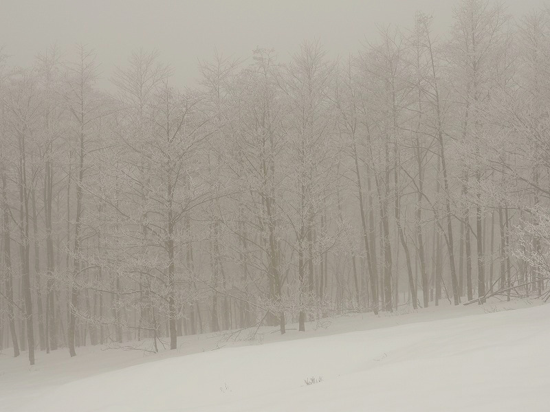 futagoyama_snow17.jpeg